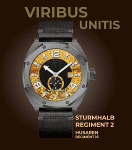 Viribus Unitis Sturm-Halbregiment 2 Husarenregiment 16