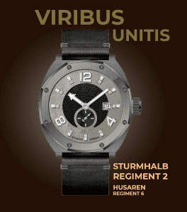 Viribus Unitis Sturm-Halbregiment 2 Husarenregiment 6